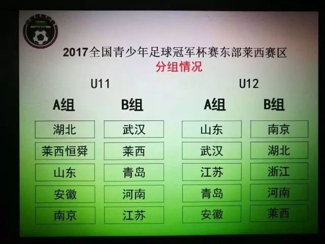 足球赛青年冠军名单_足球赛青年冠军是谁_青年冠军足球赛