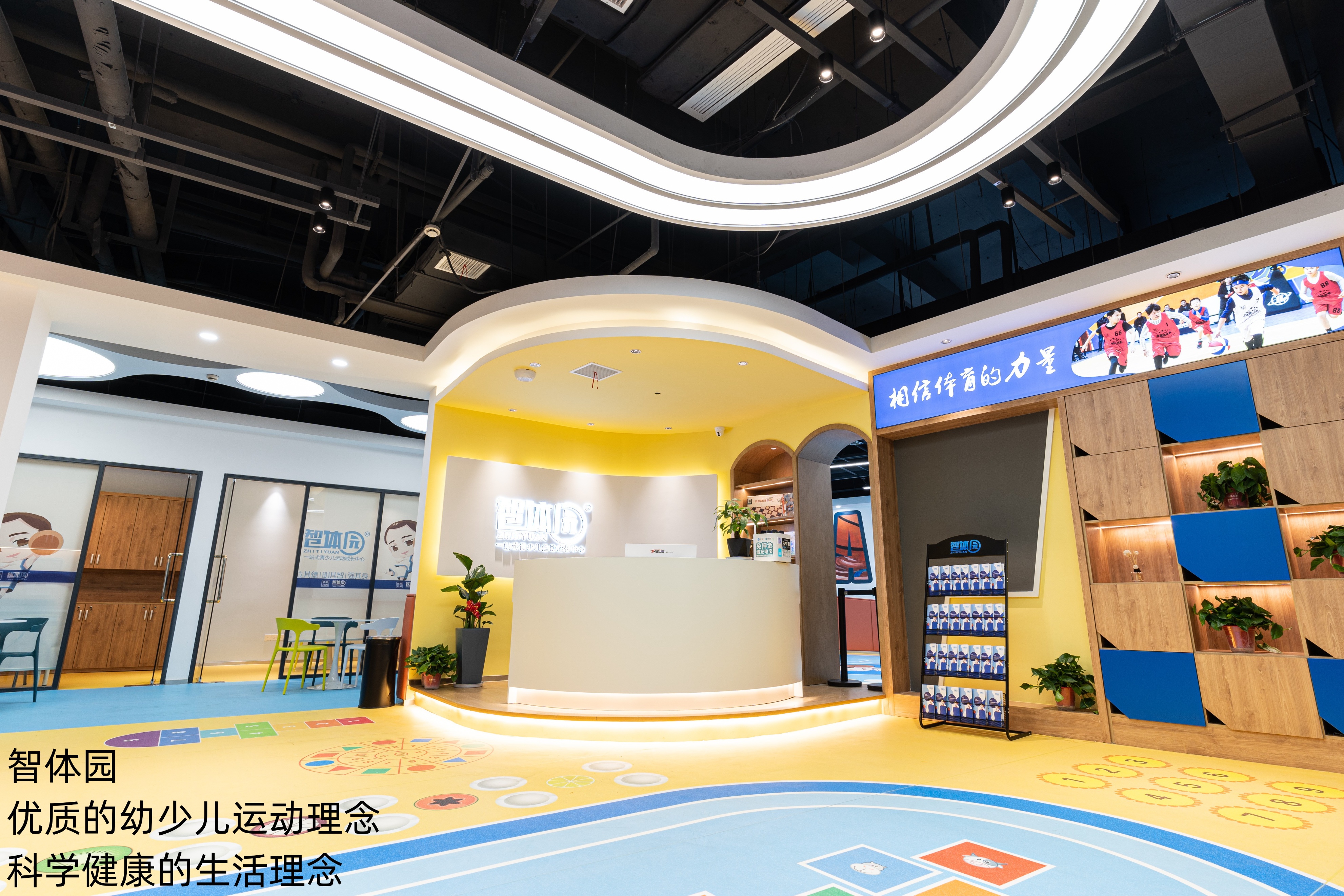 篮球比赛中的基本规则_打篮球比赛基本规则_篮球规则比赛基本打法有哪些