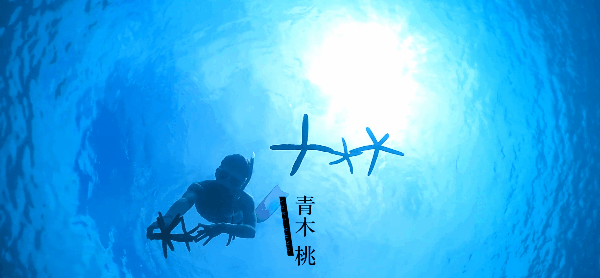 青木美空游泳_日本青木纯奈_日本游泳冠军青木桃