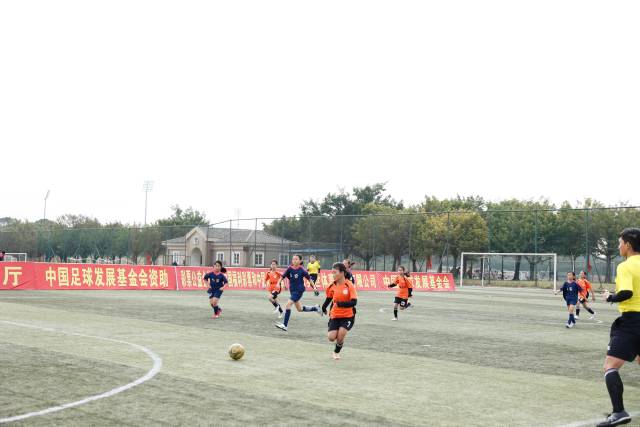 三角篮球标志_篮球三角战术视频_三角小学篮球锦标赛冠军