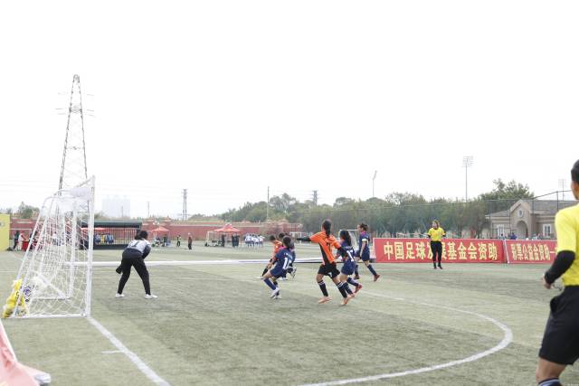 篮球三角战术视频_三角小学篮球锦标赛冠军_三角篮球标志