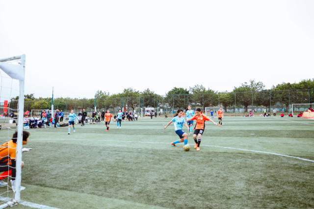 三角篮球标志_三角小学篮球锦标赛冠军_篮球三角战术视频
