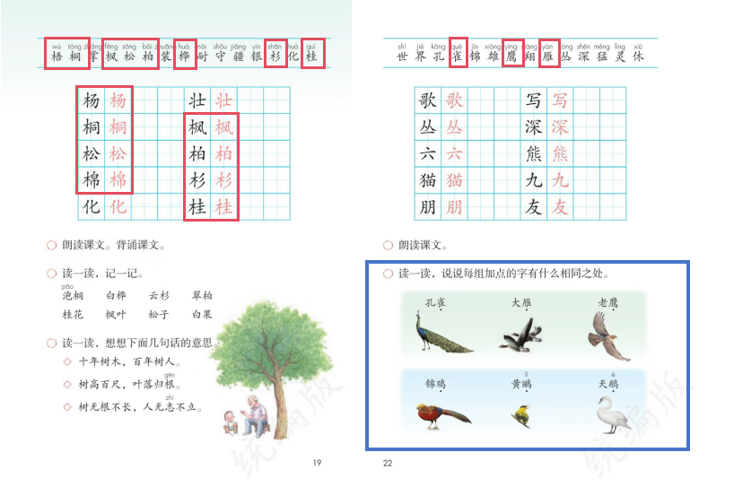 柳州小学二年级开展‘觅有趣汉字’项目，感